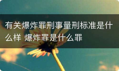 有关爆炸罪刑事量刑标准是什么样 爆炸罪是什么罪