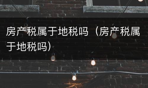 房产税属于地税吗（房产税属于地税吗）