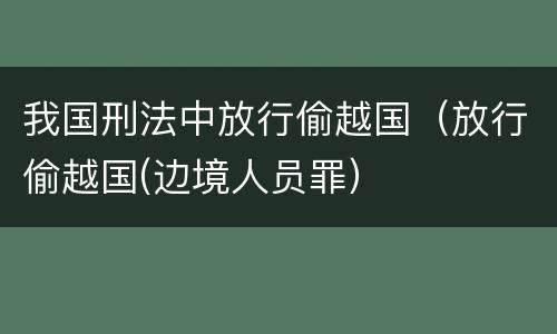 我国刑法中放行偷越国（放行偷越国(边境人员罪）