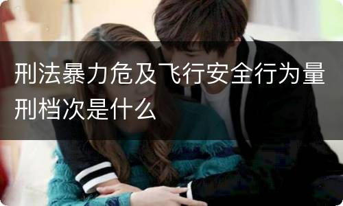 刑法暴力危及飞行安全行为量刑档次是什么