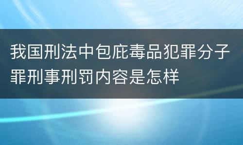 我国刑法中包庇毒品犯罪分子罪刑事刑罚内容是怎样