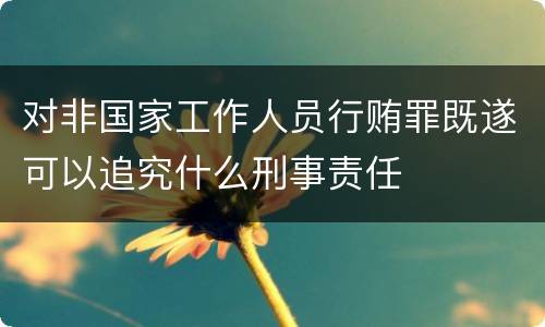 对非国家工作人员行贿罪既遂可以追究什么刑事责任