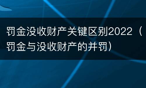 罚金没收财产关键区别2022（罚金与没收财产的并罚）
