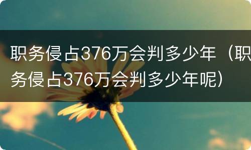 职务侵占376万会判多少年（职务侵占376万会判多少年呢）