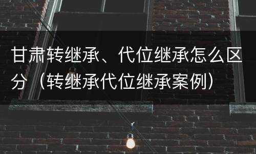 甘肃转继承、代位继承怎么区分（转继承代位继承案例）