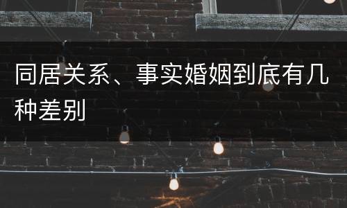 同居关系、事实婚姻到底有几种差别