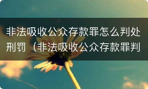 非法吸收公众存款罪怎么判处刑罚（非法吸收公众存款罪判刑标准）