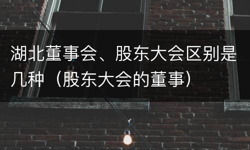 湖北董事会、股东大会区别是几种（股东大会的董事）