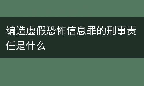 编造虚假恐怖信息罪的刑事责任是什么