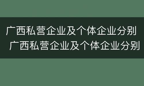 广西私营企业及个体企业分别 广西私营企业及个体企业分别有多少家