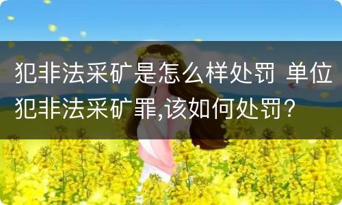 犯非法采矿是怎么样处罚 单位犯非法采矿罪,该如何处罚?