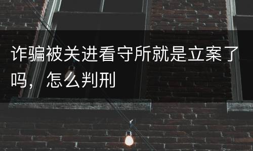 诈骗被关进看守所就是立案了吗，怎么判刑