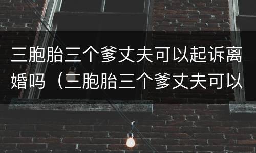 三胞胎三个爹丈夫可以起诉离婚吗（三胞胎三个爹丈夫可以起诉离婚吗知乎）