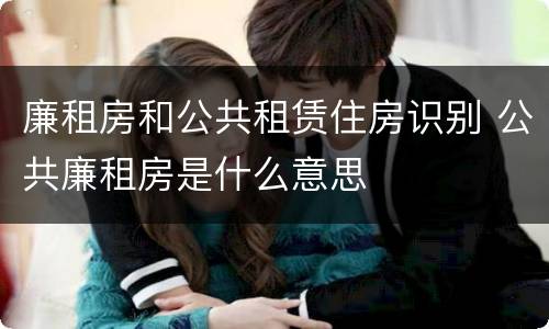 廉租房和公共租赁住房识别 公共廉租房是什么意思