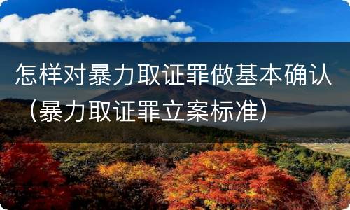 怎样对暴力取证罪做基本确认（暴力取证罪立案标准）