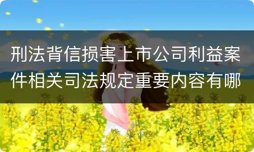 刑法背信损害上市公司利益案件相关司法规定重要内容有哪些