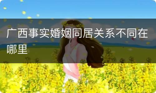广西事实婚姻同居关系不同在哪里