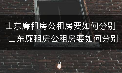 山东廉租房公租房要如何分别 山东廉租房公租房要如何分别购买