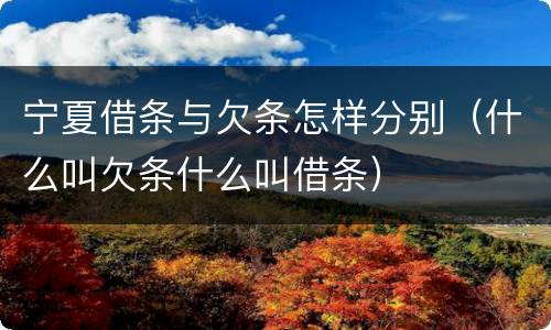 宁夏借条与欠条怎样分别（什么叫欠条什么叫借条）