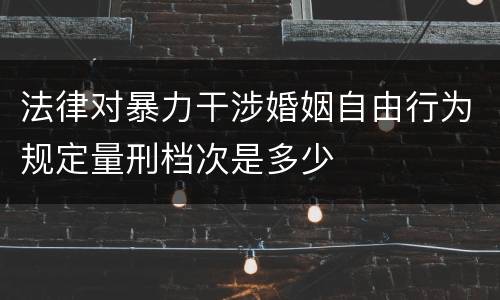 法律对暴力干涉婚姻自由行为规定量刑档次是多少