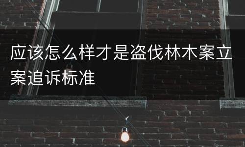 应该怎么样才是盗伐林木案立案追诉标准