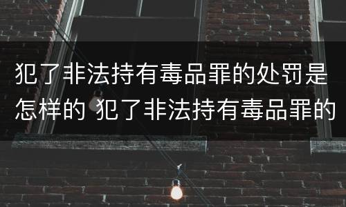 犯了非法持有毒品罪的处罚是怎样的 犯了非法持有毒品罪的处罚是怎样的呢