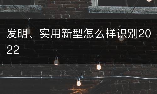 发明、实用新型怎么样识别2022