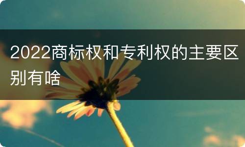 2022商标权和专利权的主要区别有啥