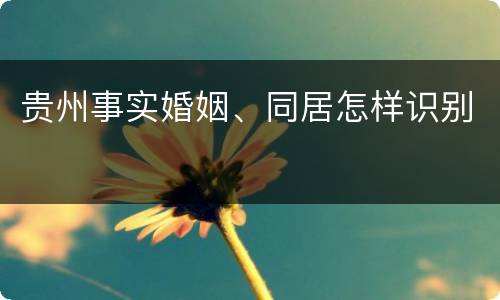 贵州事实婚姻、同居怎样识别