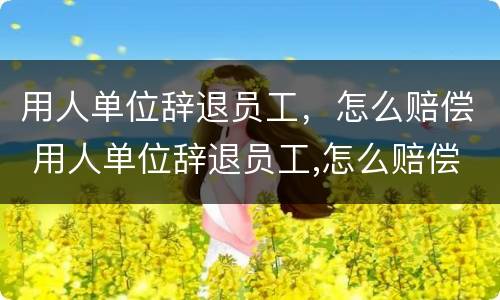 用人单位辞退员工，怎么赔偿 用人单位辞退员工,怎么赔偿的