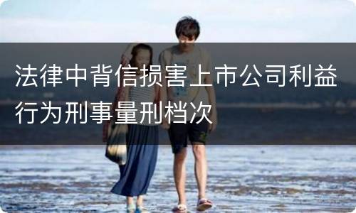 法律中背信损害上市公司利益行为刑事量刑档次