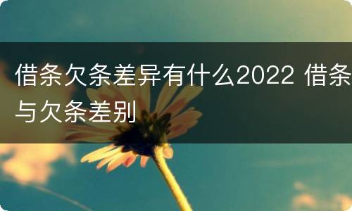 借条欠条差异有什么2022 借条与欠条差别