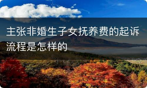 主张非婚生子女抚养费的起诉流程是怎样的