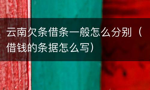 云南欠条借条一般怎么分别（借钱的条据怎么写）