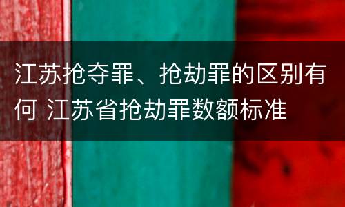 江苏抢夺罪、抢劫罪的区别有何 江苏省抢劫罪数额标准