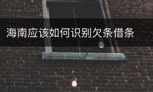 海南应该如何识别欠条借条
