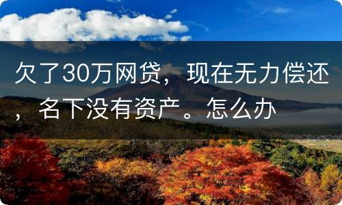 欠了30万网贷，现在无力偿还，名下没有资产。怎么办