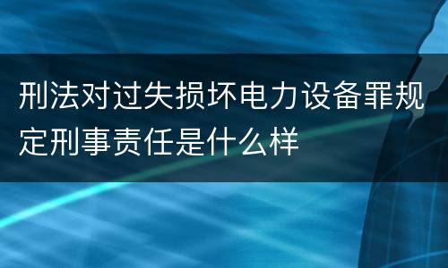 刑法对过失损坏电力设备罪规定刑事责任是什么样