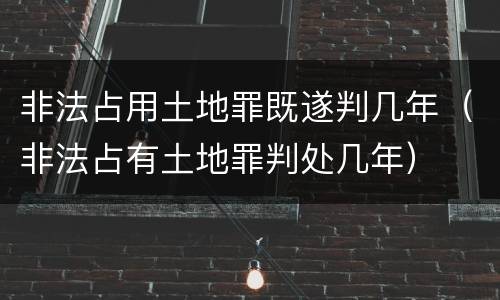 非法占用土地罪既遂判几年（非法占有土地罪判处几年）
