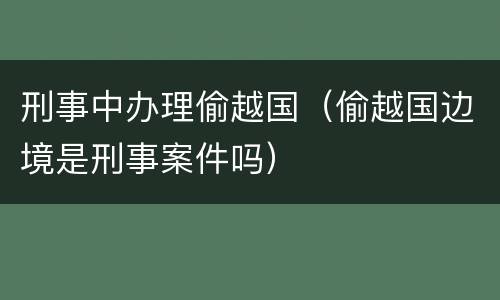 刑事中办理偷越国（偷越国边境是刑事案件吗）