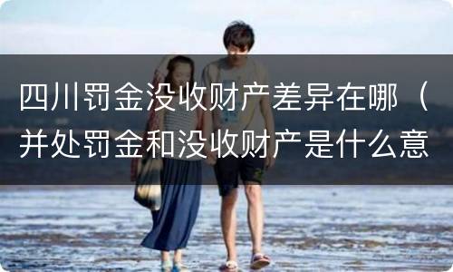 四川罚金没收财产差异在哪（并处罚金和没收财产是什么意思）