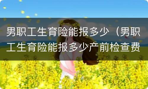 男职工生育险能报多少（男职工生育险能报多少产前检查费）