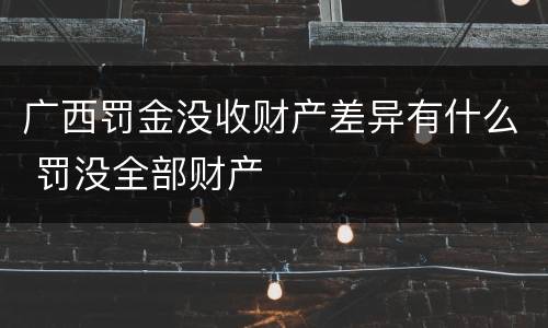 广西罚金没收财产差异有什么 罚没全部财产