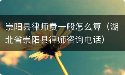 崇阳县律师费一般怎么算（湖北省崇阳县律师咨询电话）