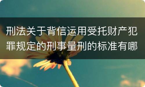 刑法关于背信运用受托财产犯罪规定的刑事量刑的标准有哪些