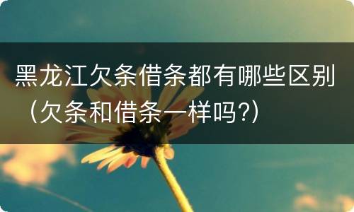 黑龙江欠条借条都有哪些区别（欠条和借条一样吗?）