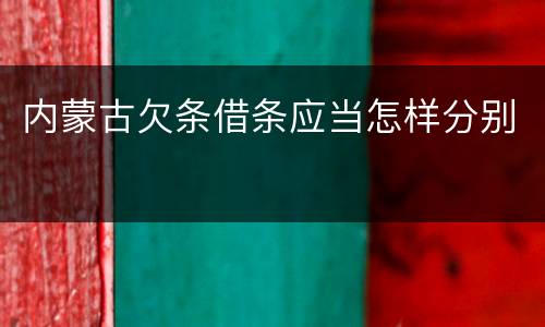 内蒙古欠条借条应当怎样分别