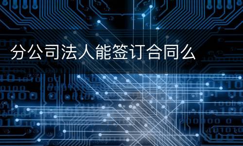 分公司法人能签订合同么