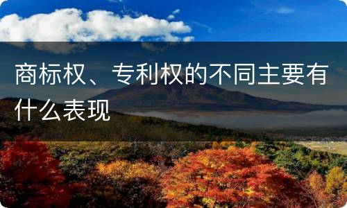 商标权、专利权的不同主要有什么表现
