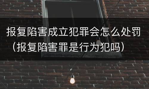 报复陷害成立犯罪会怎么处罚（报复陷害罪是行为犯吗）